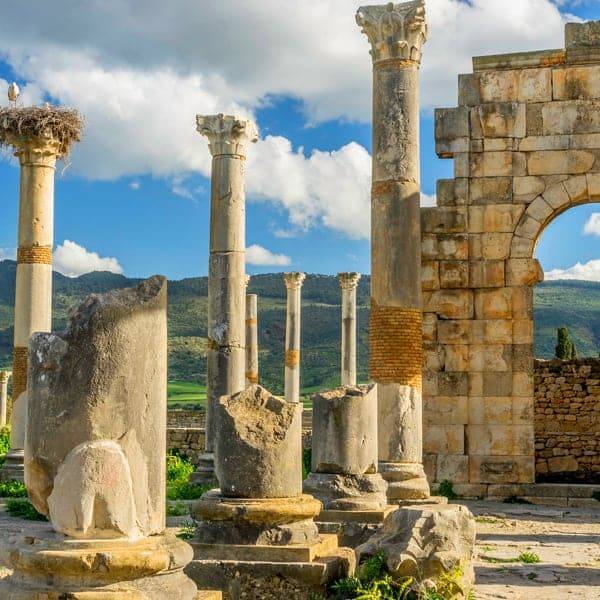 Day Trip ~ Fes to  Meknes via volubilis