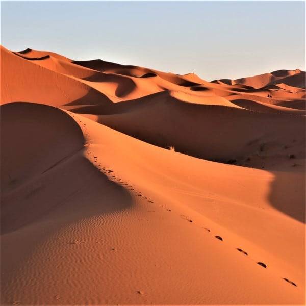 Ideal Morocco Tour 8 Days 7 Nights -Roundtrip From  Marrakech