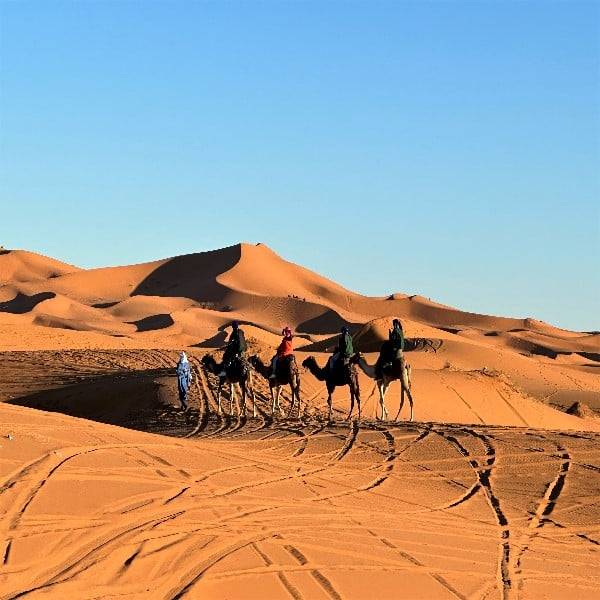 morocco desert small tours